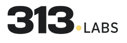 313 Labs